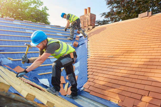 Best Roof Moss and Algae Removal  in Buttonwillow, CA